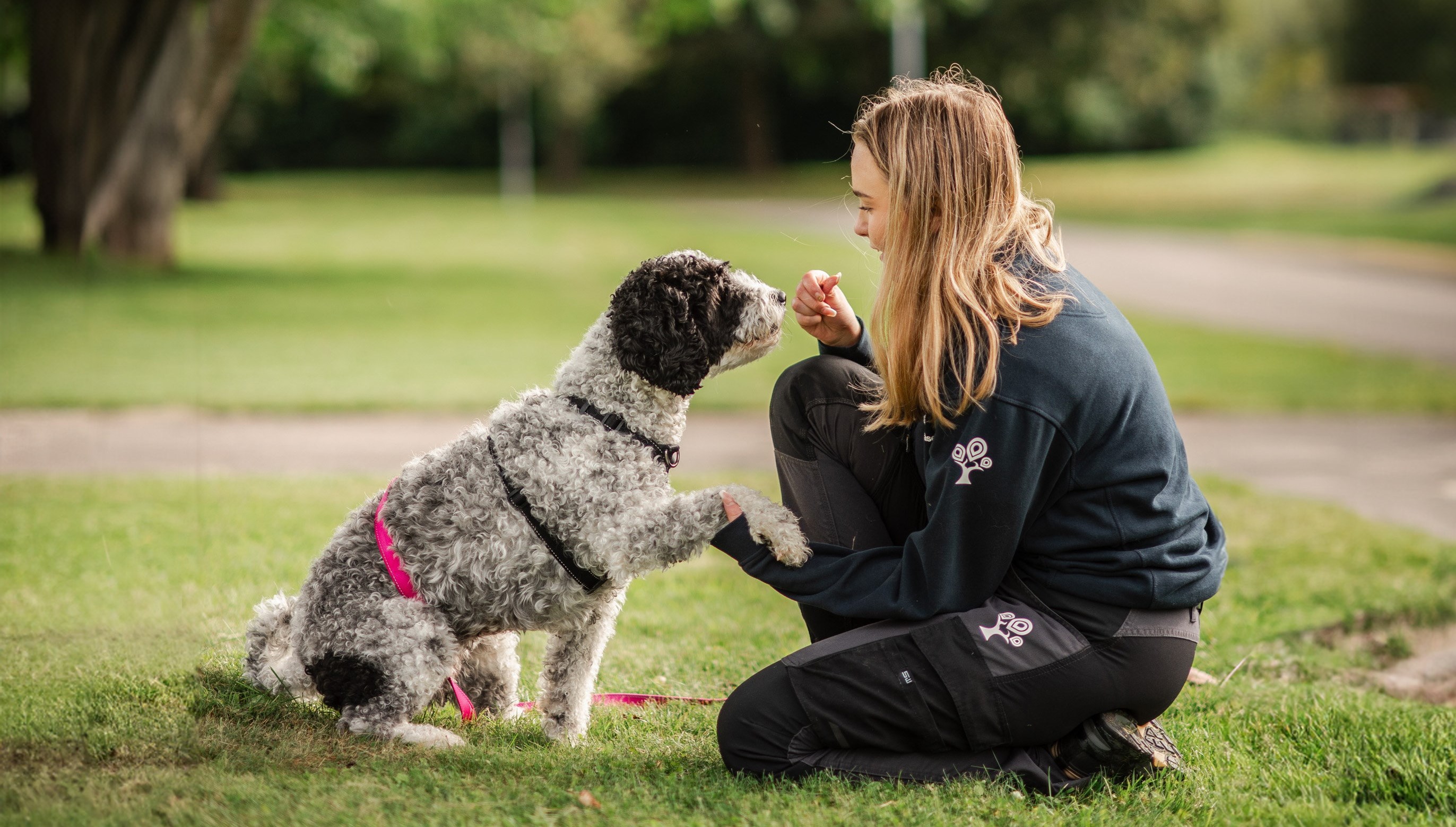 Elev sitter ned i gräset mitt emot en hund och håller i framtassen