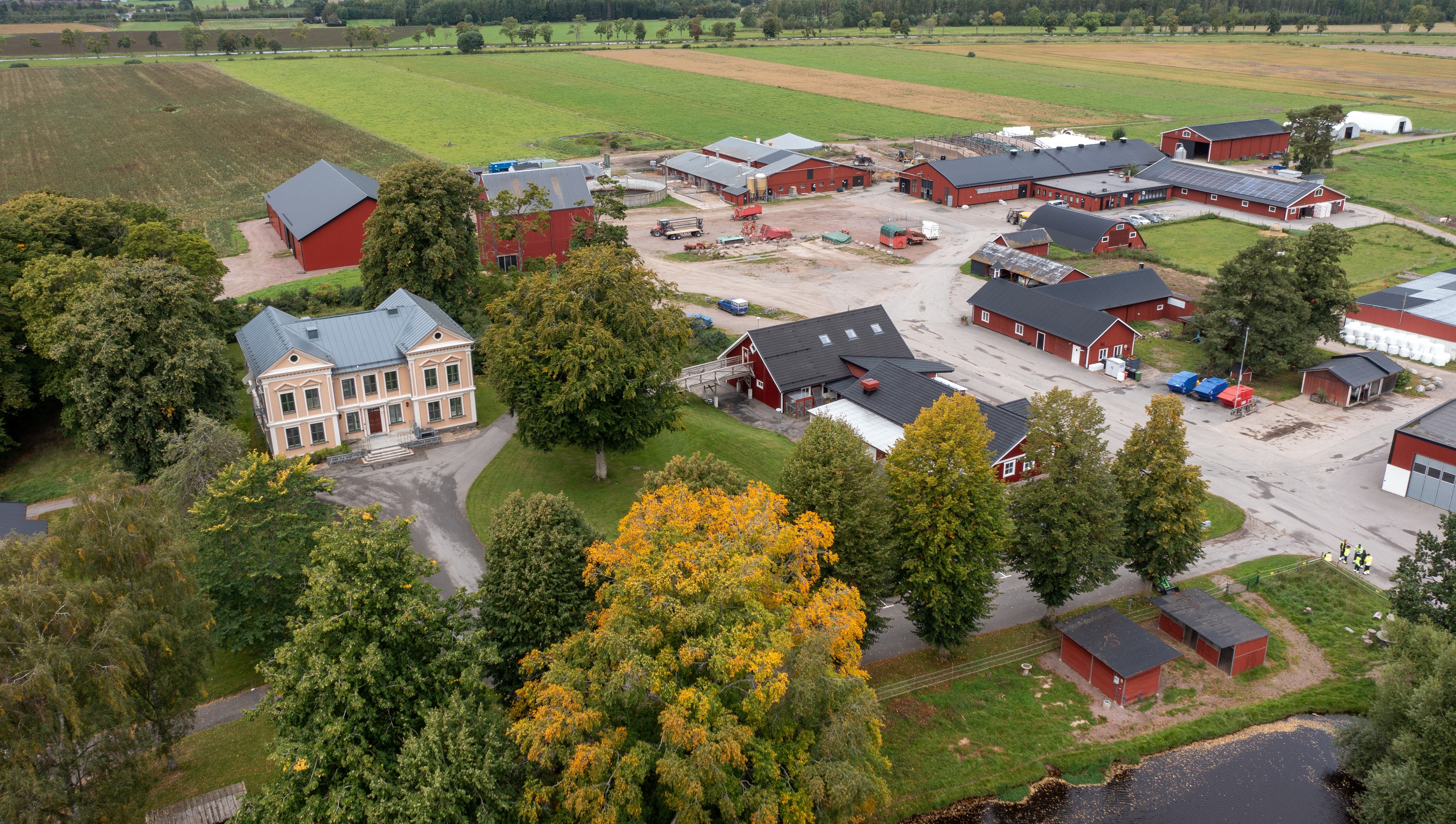 Drönarfoto över skolområdet 