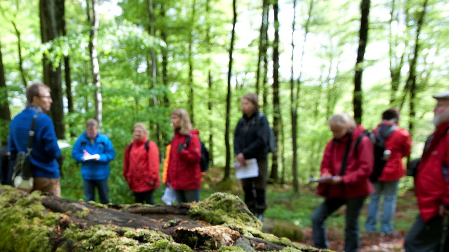Grupp med människor pratar i naturen